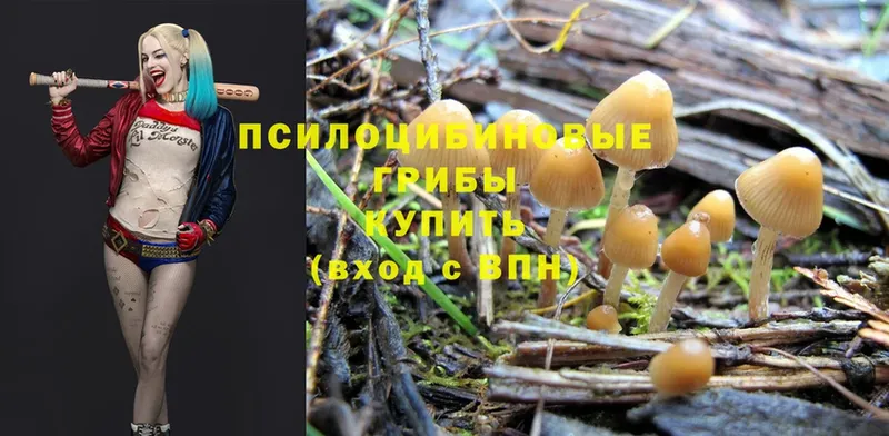 Псилоцибиновые грибы MAGIC MUSHROOMS  Старая Купавна 